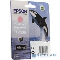 [Расходные материалы] EPSON C13T76064010 SC-P600 Light Magenta (cons ink)