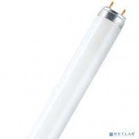 [Люминисцентные лампы] Лампа линейная люминесцентная ЛЛ 36вт L 36/830 G13 тепло-белая Lumilux (кратно 25 шт)