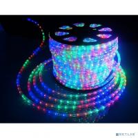 [Новогодние светоукрашения (крупное)] Neon-night 121-329-14 Дюралайт LED, свечение с динамикой (3W), 24 LED/м, МУЛЬТИ (RYGB), 14м