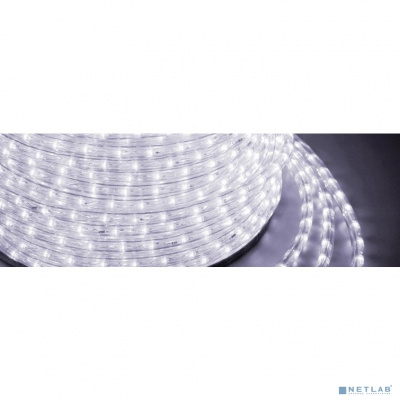 [Новогодние светоукрашения (крупное)] Neon-night 121-125-4 Дюралайт LED, постоянное свечение (2W) - белый Эконом 24 LED/м , бухта 100м