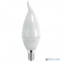 [Светодиодные лампы (LED)] СТАРТ (4670012295105) Светодиодная лампа. Форма - свеча на ветру. Холодный белый свет. LEDFlameE14 7W 40