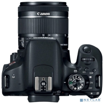 [Цифровая фотокамера] Canon EOS 800D черный {24.2Mpix EF-S 18-55mm f/4-5.6 IS STM 3" 1080p Full HD SDXC Li-ion (с объективом)}